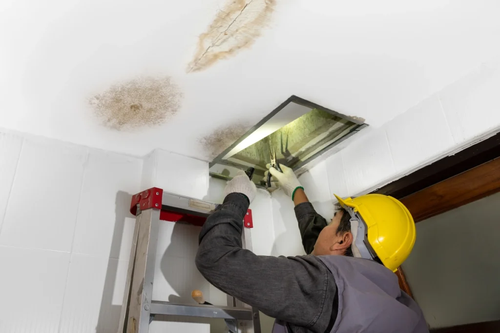 roofer examines a leaking attic crawl space