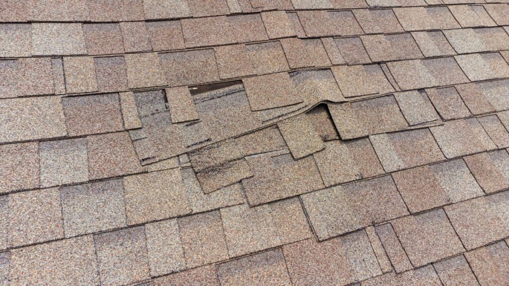 Several brown roof shingles are lifted and misaligned, exposing the roofing material beneath. The damage suggests possible wind or weather impact, and may also indicate hail damage to the roof. The rest of the shingles appear intact and properly placed.