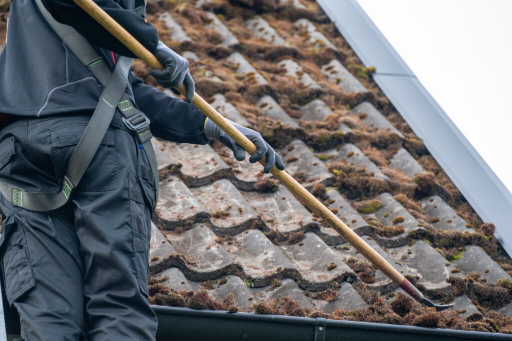 best time of year to remove moss from roof Person wearing safety gear uses a long-handled tool to remove moss from a tiled roof, demonstrating the importance of tackling this task at the best time of year to remove moss from roof surfaces. The surface appears weathered and covered in patches of moss.