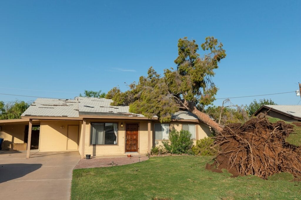A suburban house in Chapel Hill with a damaged roof sits beside a large uprooted tree sprawled across its facade, hinting at storm damage. The grass lawn remains intact beneath the clear blue sky, suggesting roof repair will be the next step.