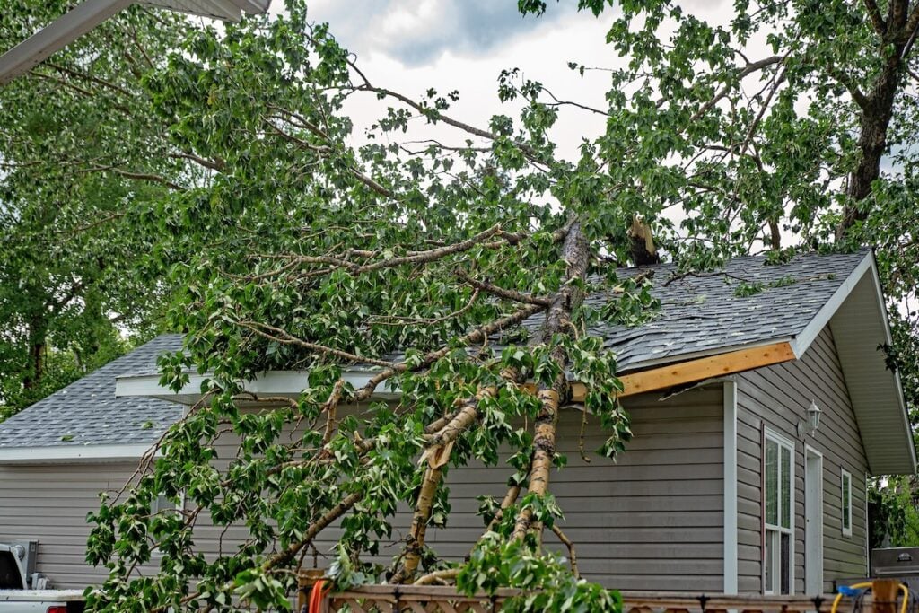 A large tree has fallen onto the roof of a house, evident signs of storm damage.