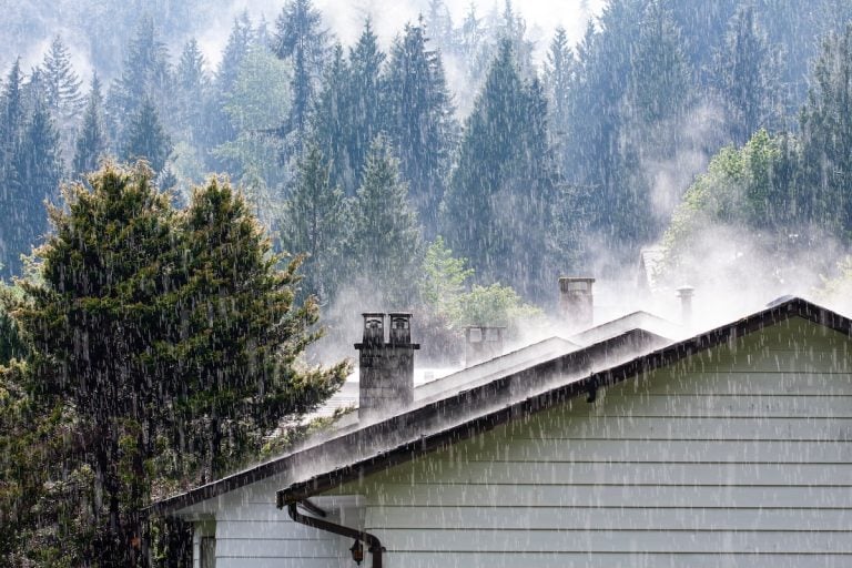 Heavy rain falls on the roof of a white house surrounded by tall evergreen trees