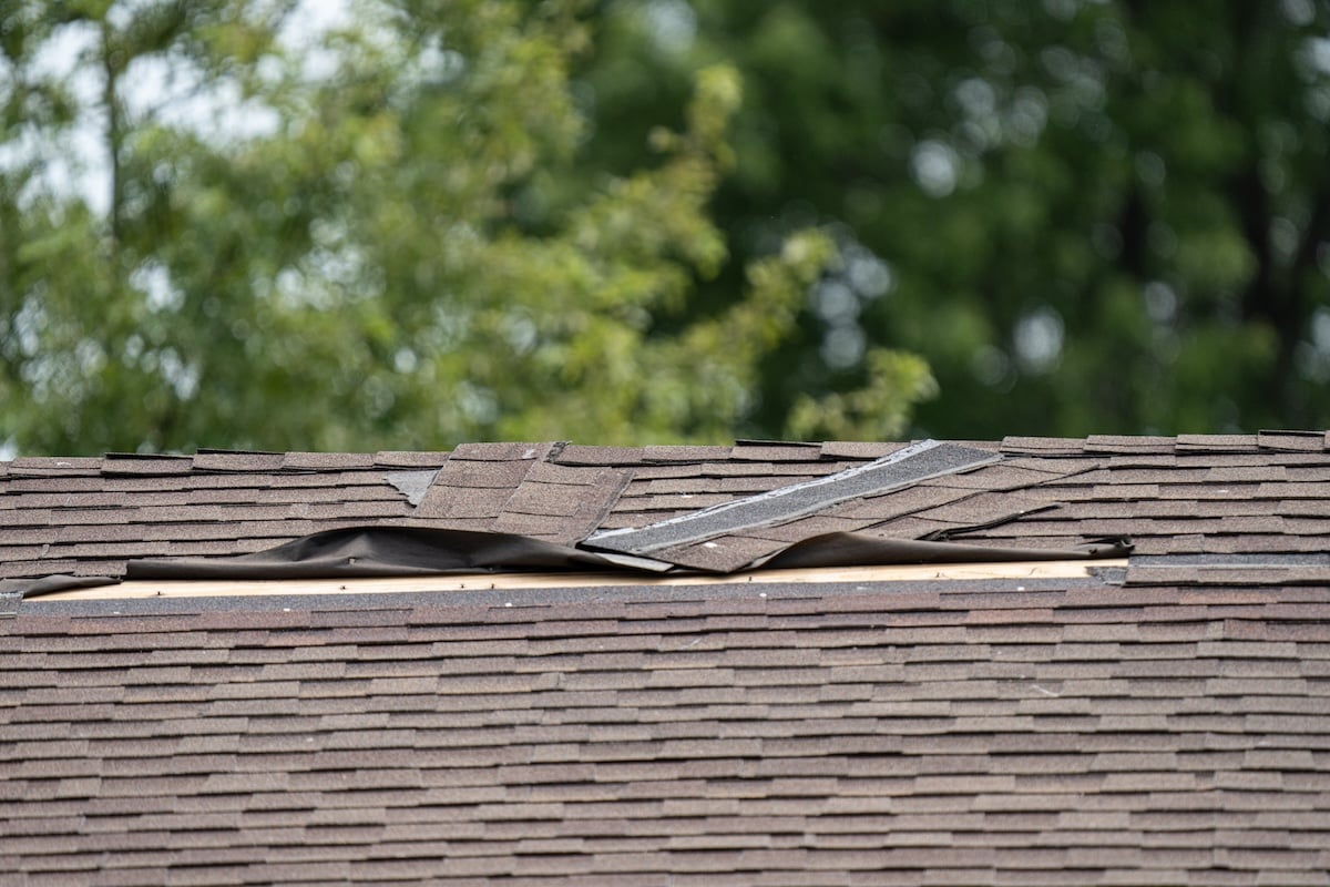 A close-up of a house roof with several shingles lifted and damaged, exposing the underlayment