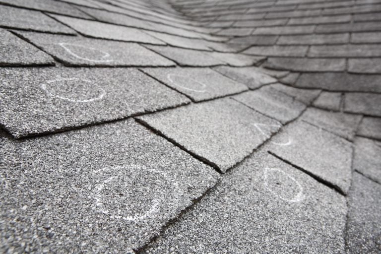 Close-up of gray asphalt roof shingles with several shingles marked with white chalk circles, indicating potential hail and wind damage to roof or inspection points.