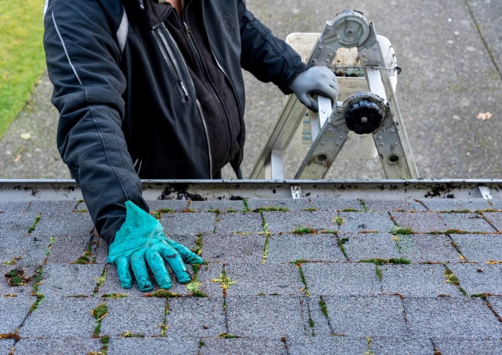 A person wearing gloves and a black jacket stands on a ladder, using roof cleaning products to remove moss and debris from a shingle roof. The scene is viewed from above, showing part of the ladder and rooftop.