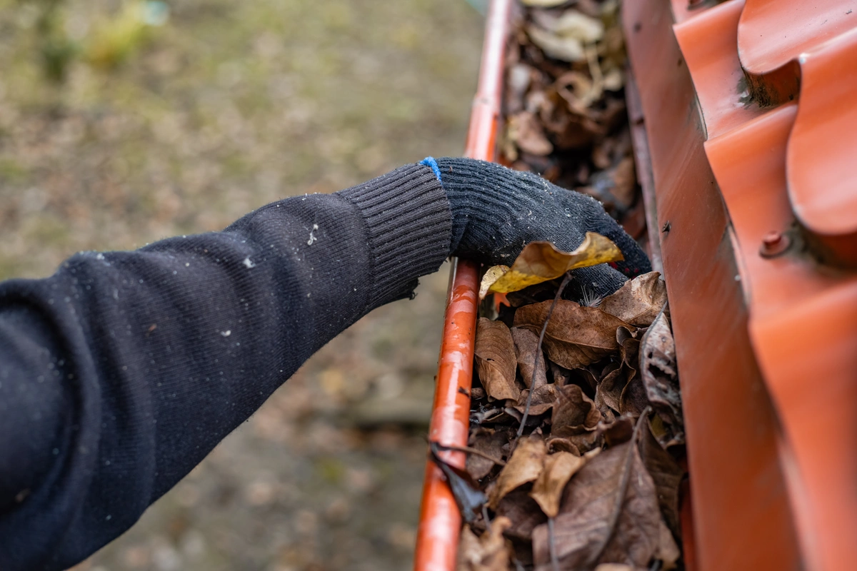 A person wearing a black glove is cleaning out dry leaves and debris from a red roof gutter.