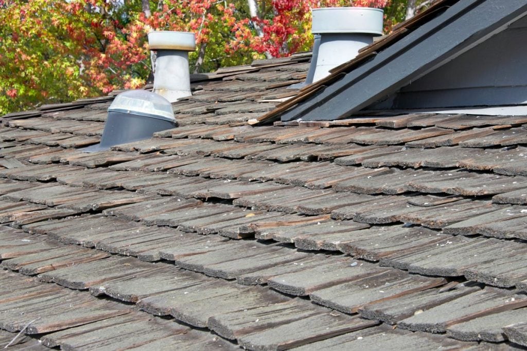 
cedar shake roof maintenance  A close-up of a weathered, damaged wooden shingle roof with multiple vents and pipes. Some shingles are cracked or uneven, and red and green leaves are visible in the background.

cedar shake roof maintenance 