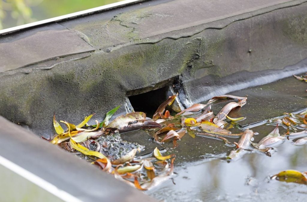 Drainage hole on a flat roof, with debris and water