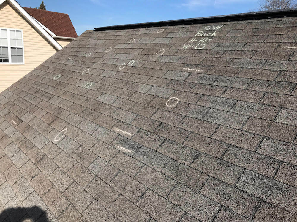 A shingle roof with multiple circles drawn in white chalk, indicating areas of damage