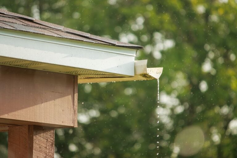 box gutters Rainwater drips from the corner of a house gutter, with water droplets falling in front of a blurred green background of trees.