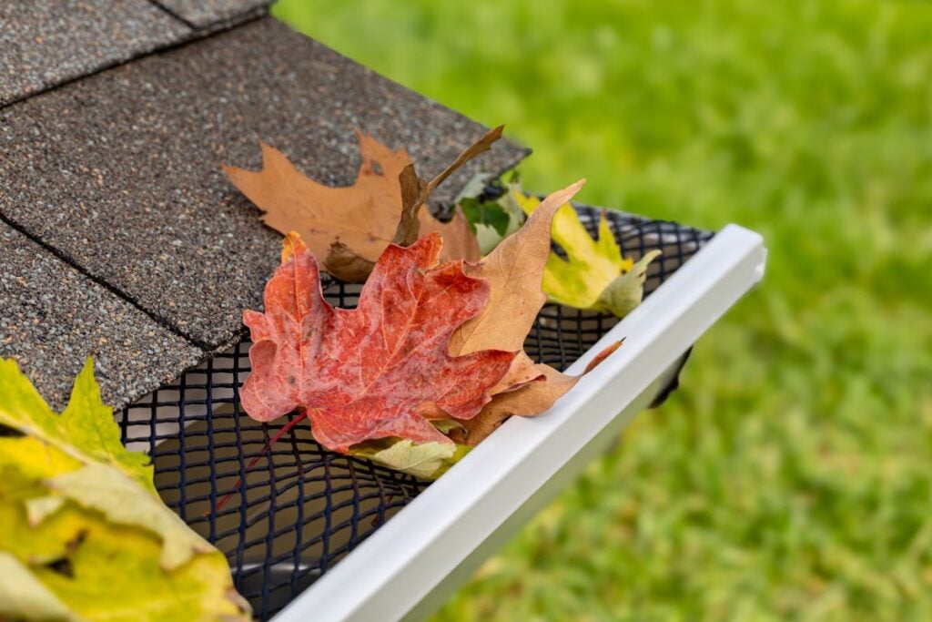 gutter screens Close-up of a house gutter covered with a black mesh guard, filled with fallen autumn leaves in various colors. The roof shingles and blurred green grass are visible in the background.