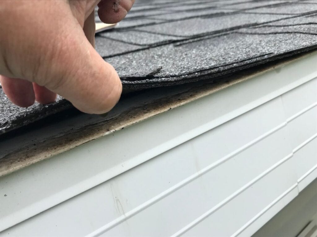 roof to wall flashing detail A hand lifts the edge of an asphalt roof shingle, revealing the wooden roof decking and a precise roof to wall flashing detail; white siding and gutter are visible below.